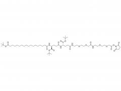 tBuO-Ste-Glu(OtBu)-Glu(AEEA-AEEA-OSu)-OtBu