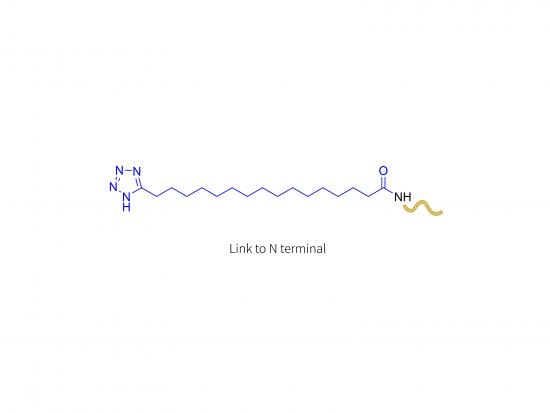 A-melanocyte stimulating hormone analogue (N-terminal)