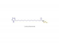 A-melanocyte stimulating hormone analogue (N-terminal)