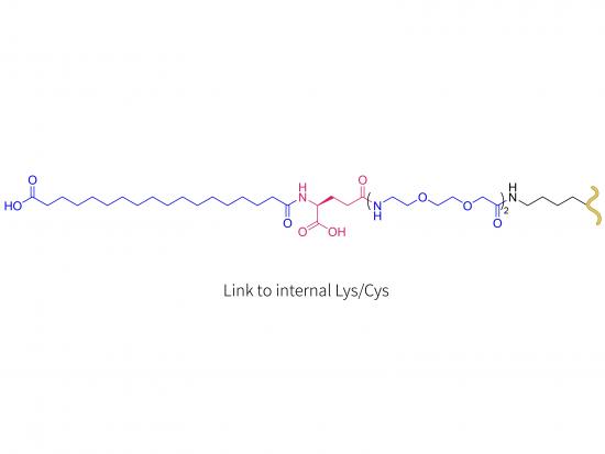 semaglutide（LYS/CYS)