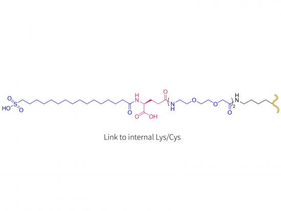 Peptide YY analogue 0165-1562 (LYS/CYS)