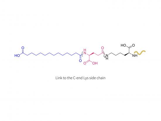 Insulin 0143-0406 (LYS)