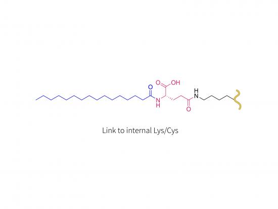 liraglutide（LYS/CYS)