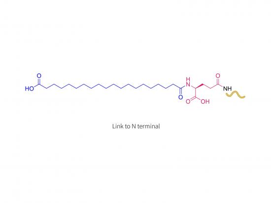 Cagrilintide (N-terminal)