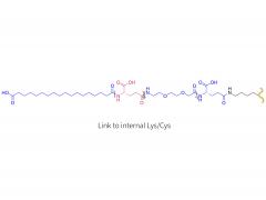 Glucagon analog 9240-0530 (LYS/CYS)