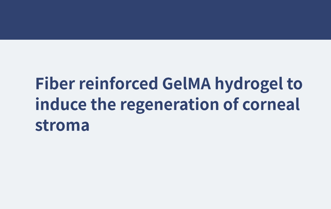 Fiber reinforced GelMA hydrogel to induce the regeneration of corneal stroma
